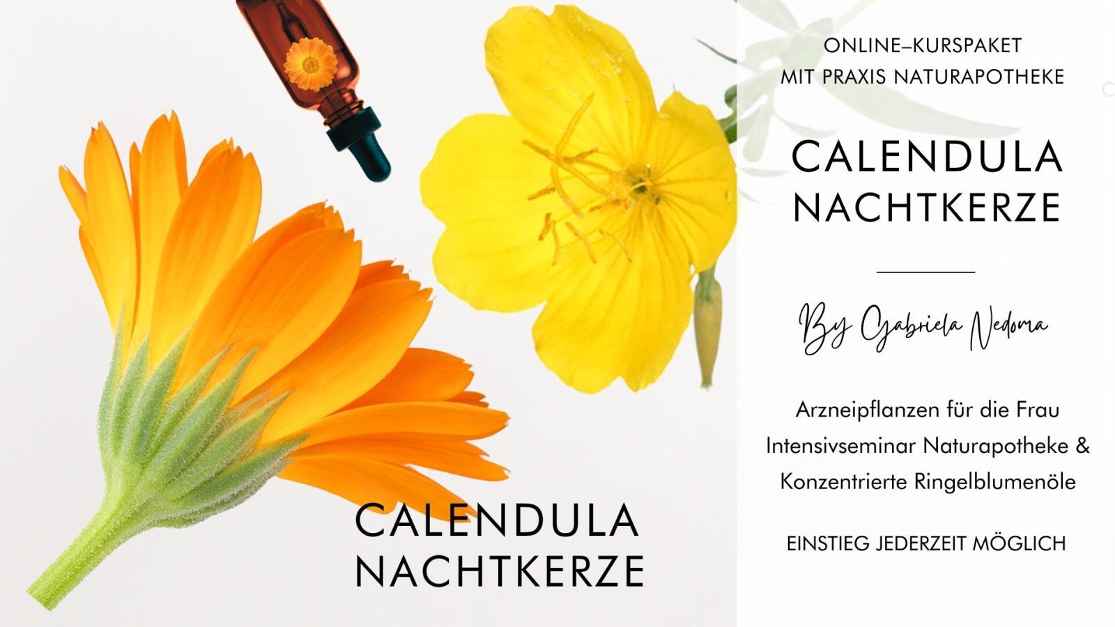 FRAUENAPOTHEKE: CALENDULA & NACHTKERZE