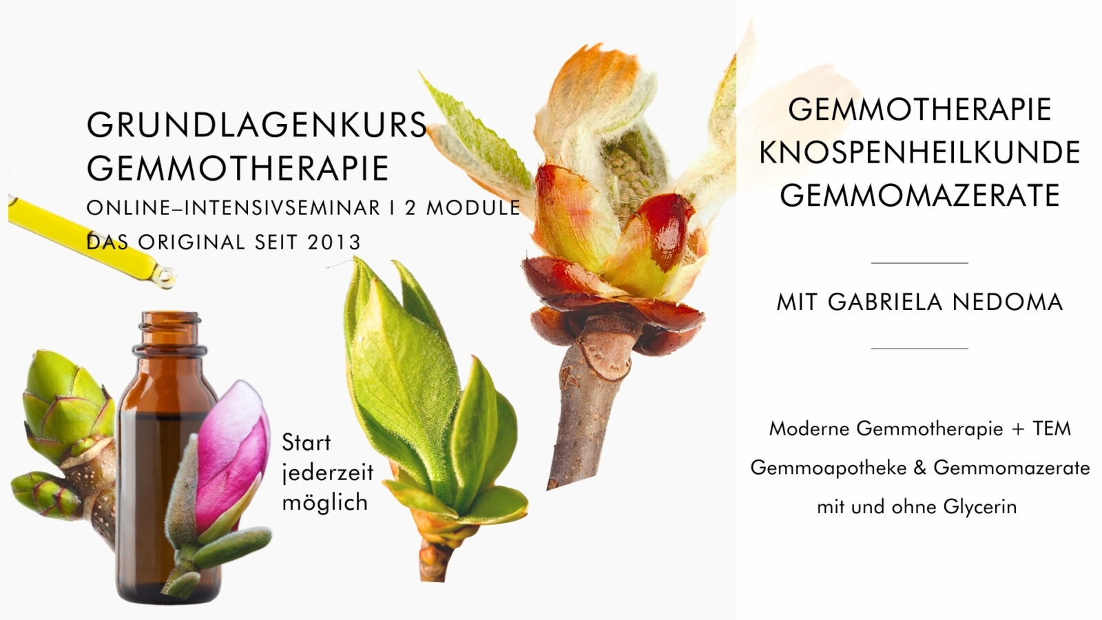 GEMMOTHERAPIE & KNOSPENMEDIZIN